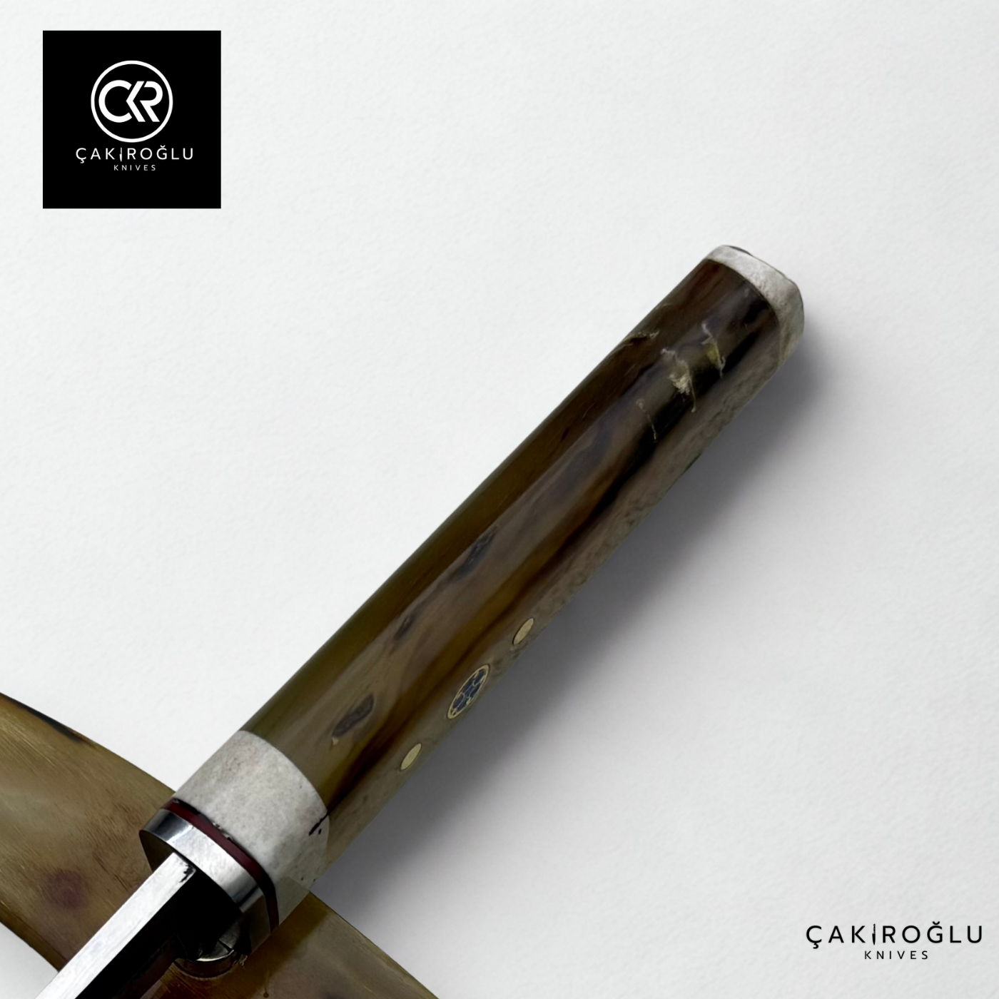 Custom Knife with Bone Stand - Bone (Ram Horn) Handle