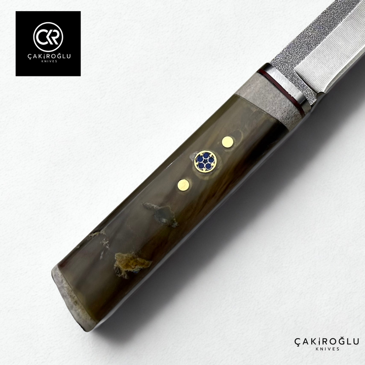 Custom Knife with Bone Stand - Bone (Ram Horn) Handle