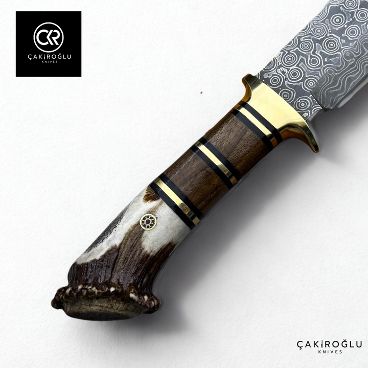 Root Stag - Handcrafted Custom-made Damascus Colletible Knife