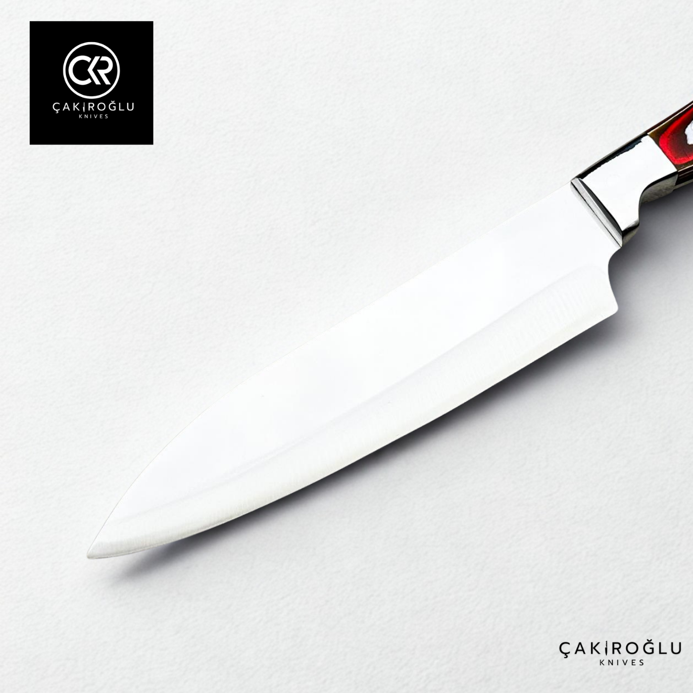 Chef’s Choice - Handcrafted Professional Chef Knife
