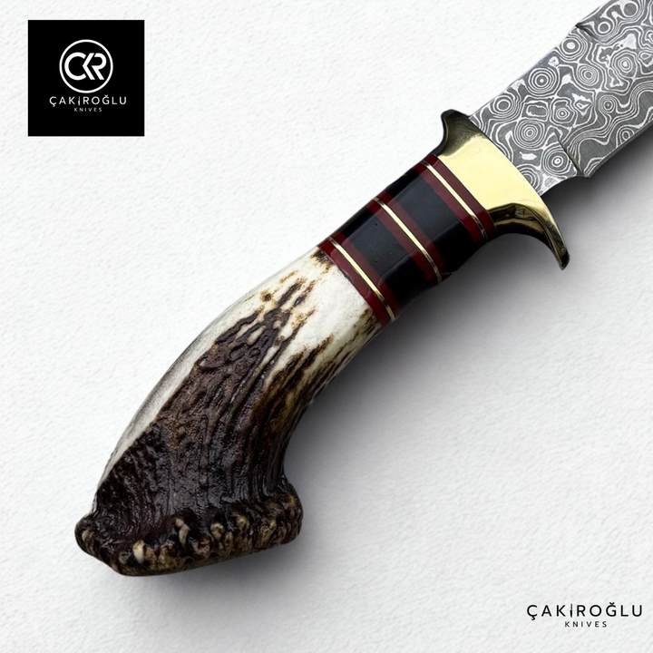 Root Stag - Handcrafted Custom-made Classic Damascus Colletible Knife